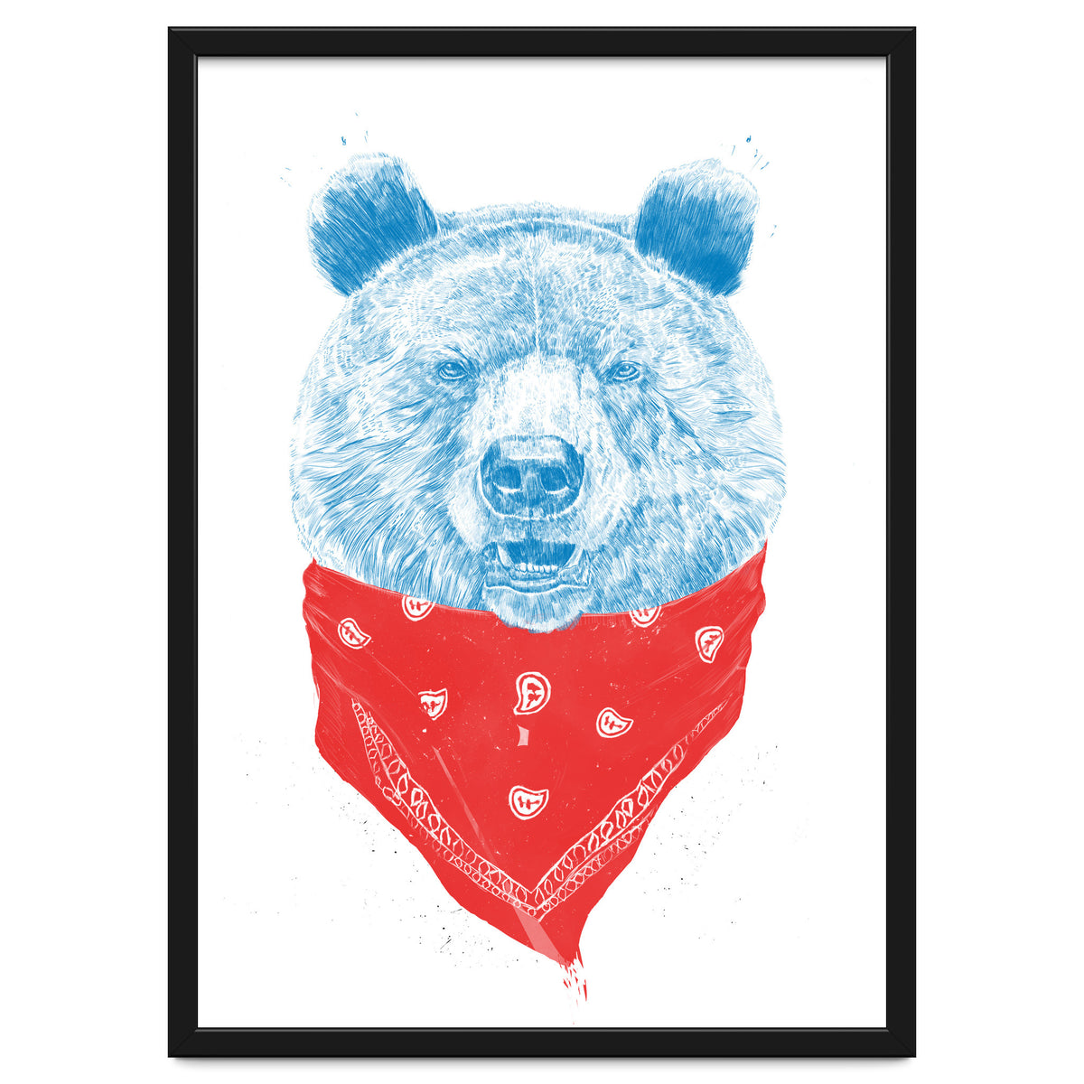 Wild Bear Color Version