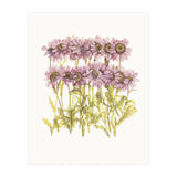 Cc Flower 02 (Print Only) thumbnail