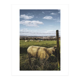 Bucolism 5 (Print Only) thumbnail