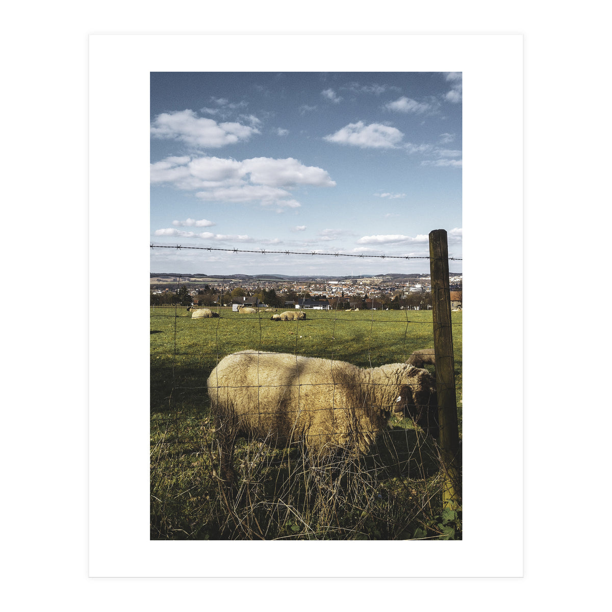 Bucolism 5 (Print Only)