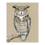 Great horned owl (Print Only) thumbnail