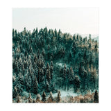 In The Wild (Print Only) thumbnail