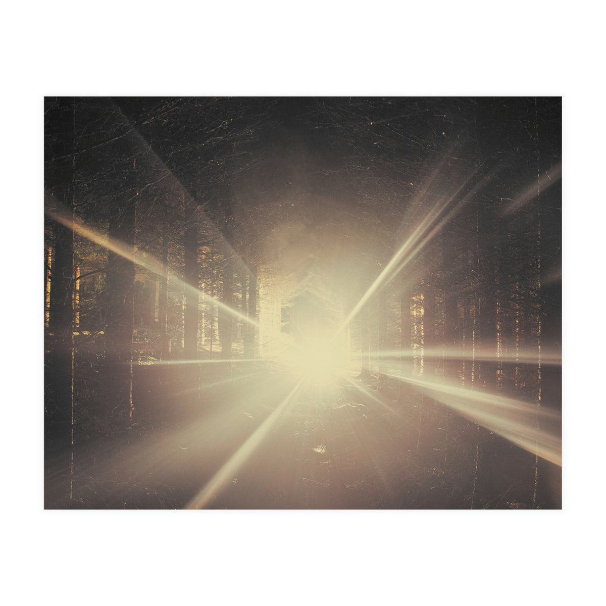 Why is Summer Mist Romantic and Autumn Mist just Sad? (Print Only)