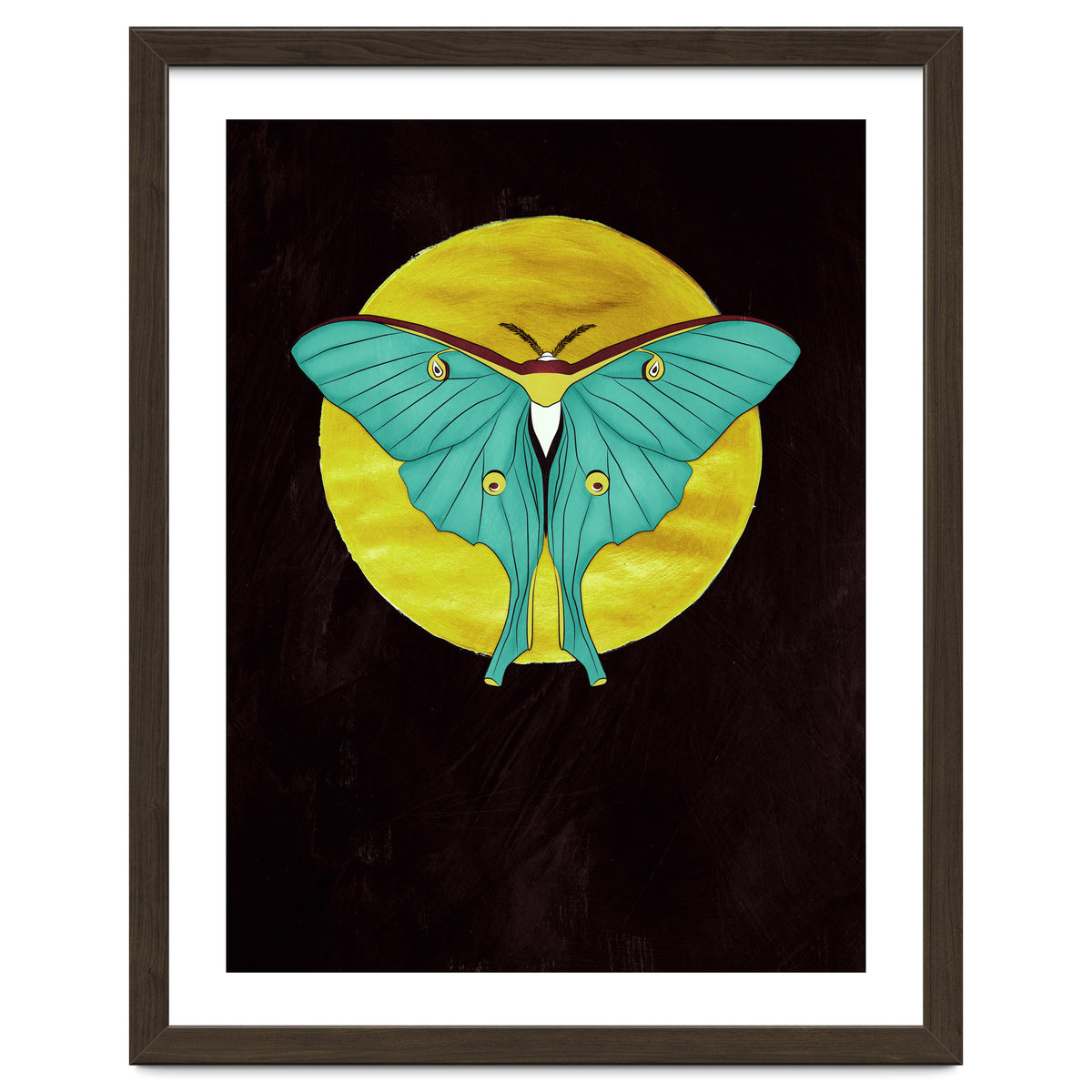 Luna Moth Moon