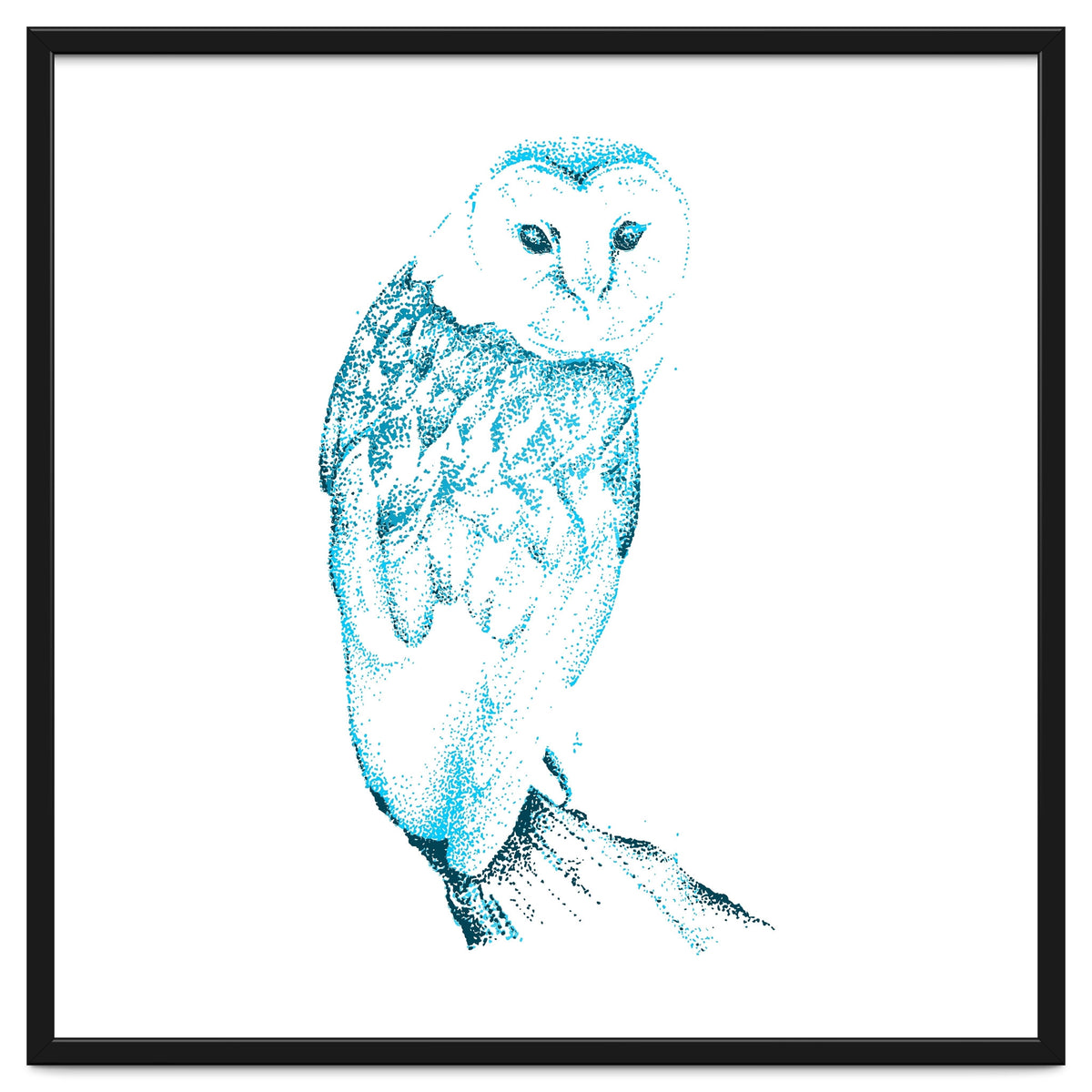 Barn Owl in Teal