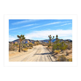 Joshua Tree II (Print Only) thumbnail