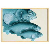 Fish Classic Designs 4