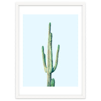 Loner Cactus