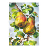 Pears (Print Only) thumbnail