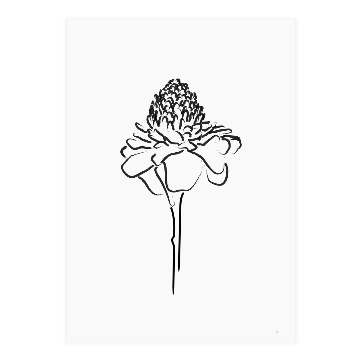 Black Flower (Print Only)