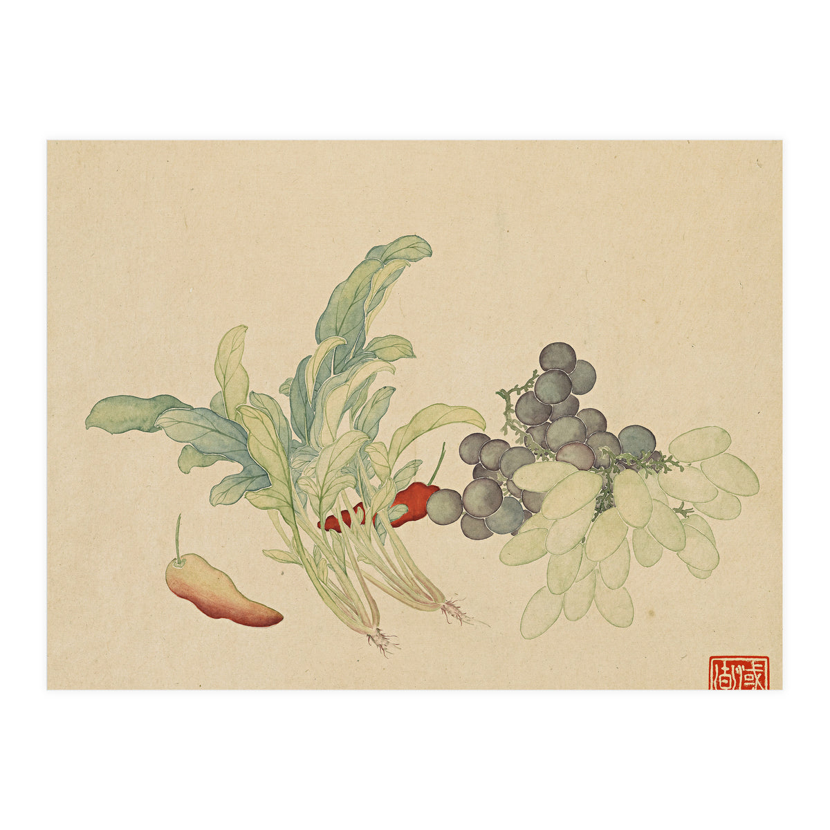 Wang Chengyu ~ Flowers And Vegetables, Vegetables, Fruits, Peppers, Millet Hot, Grapes, Spinach (Print Only)