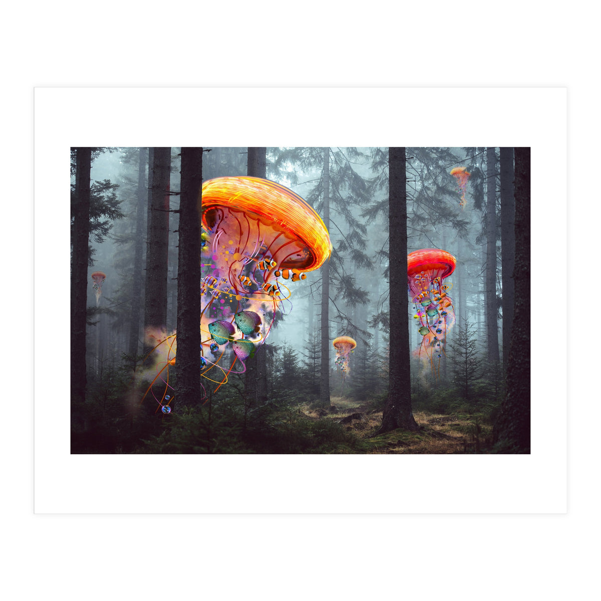 Forest Jellyfish For Print7000 (Print Only)