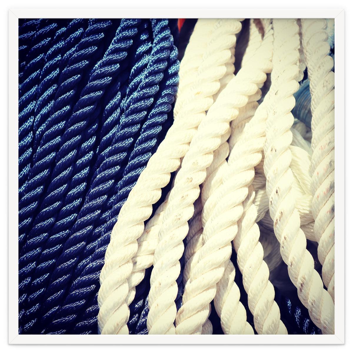 Blue and white fishing rope