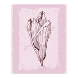 Magnolia Neutral Abstract Botanical (Print Only) thumbnail