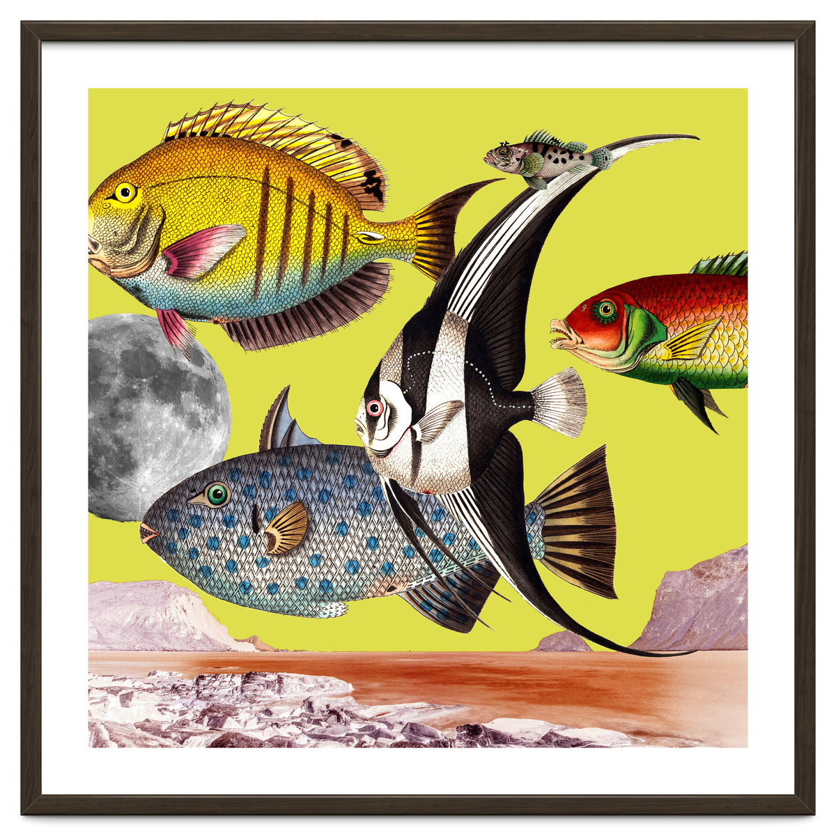 Plenty Of Fish In The Sea Yellow