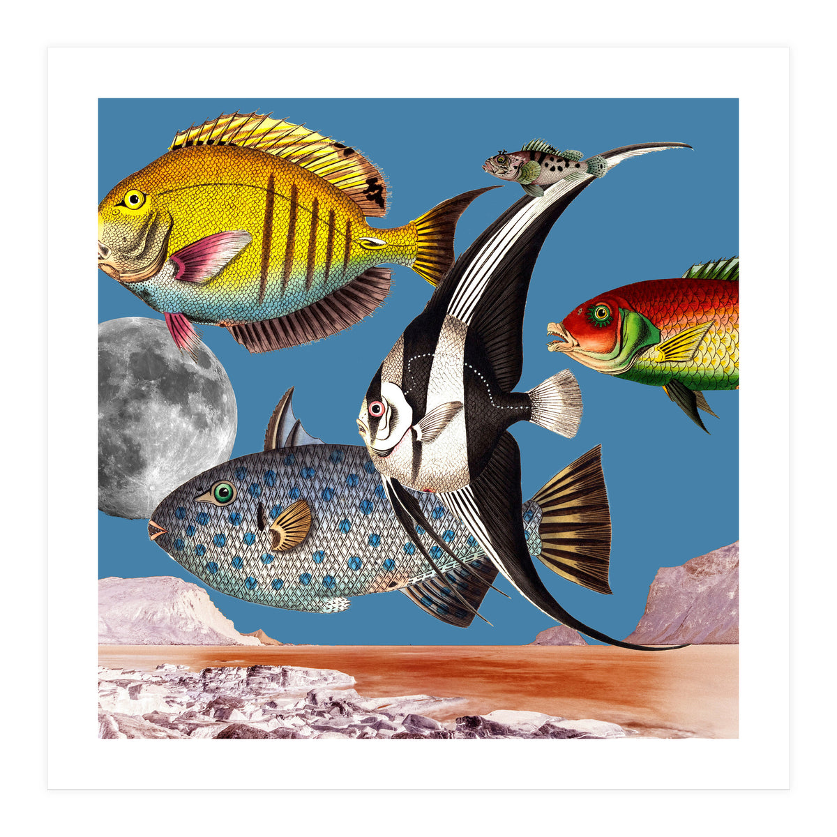 Fish World Blue (Print Only)