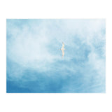 Seagull (Print Only) thumbnail