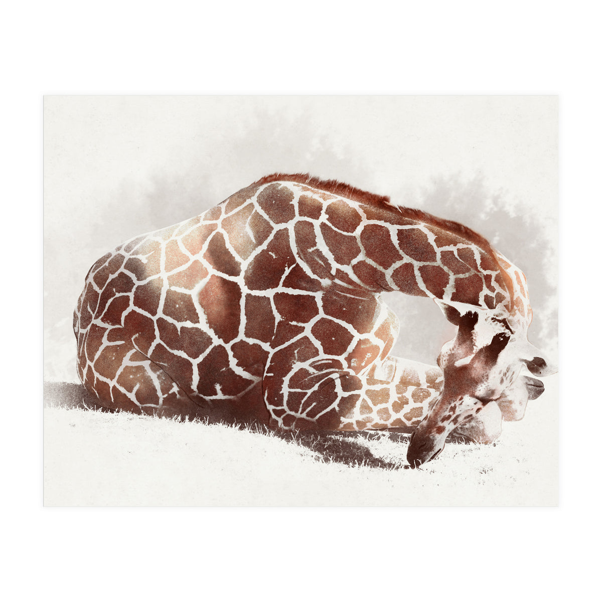 Giraffe (Print Only)