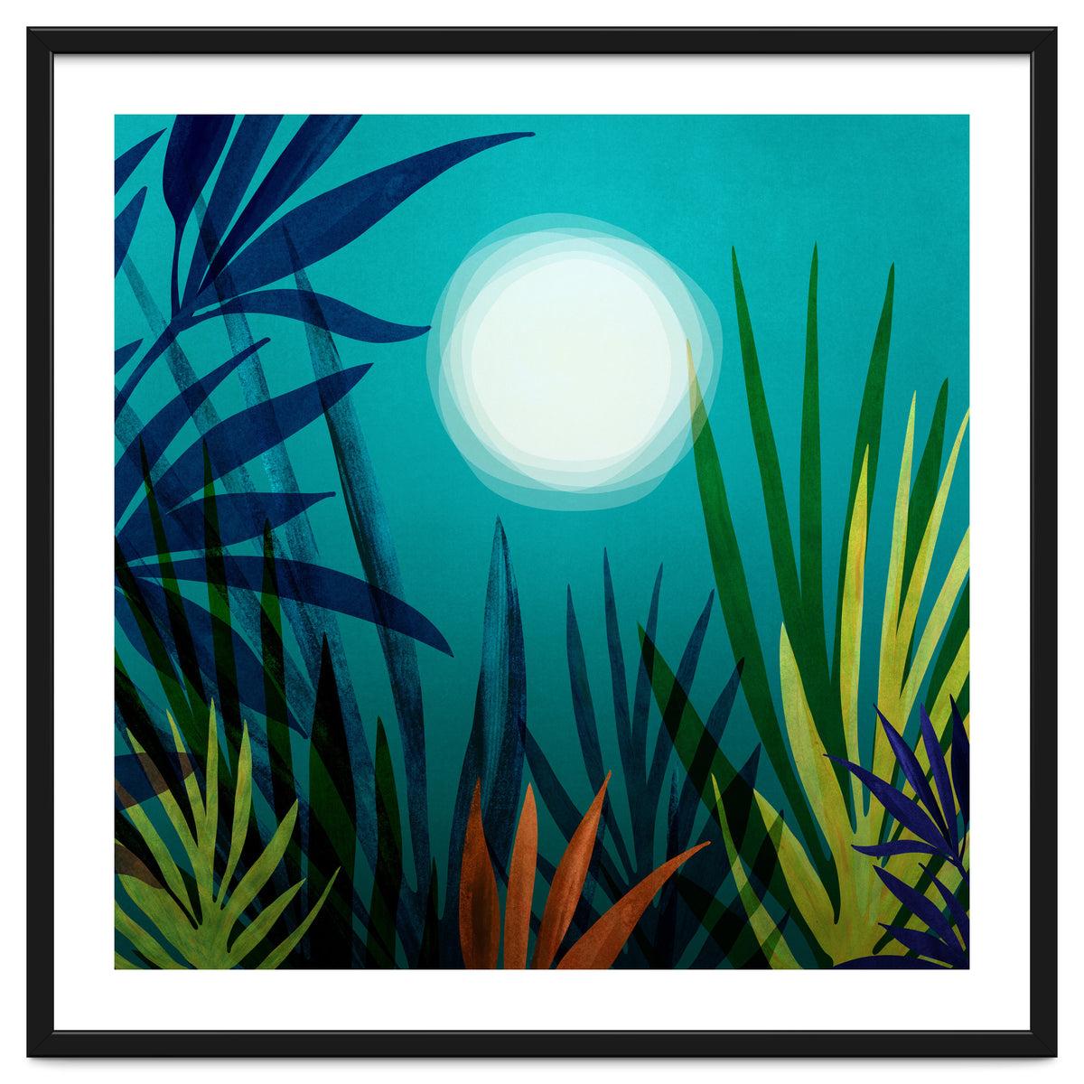 Midnight In The Jungle