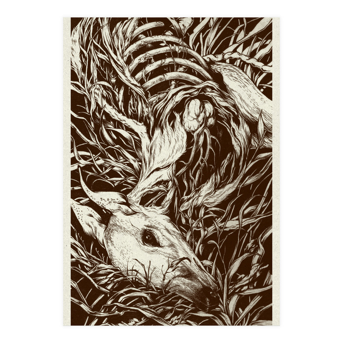 Doeeyed (Print Only)