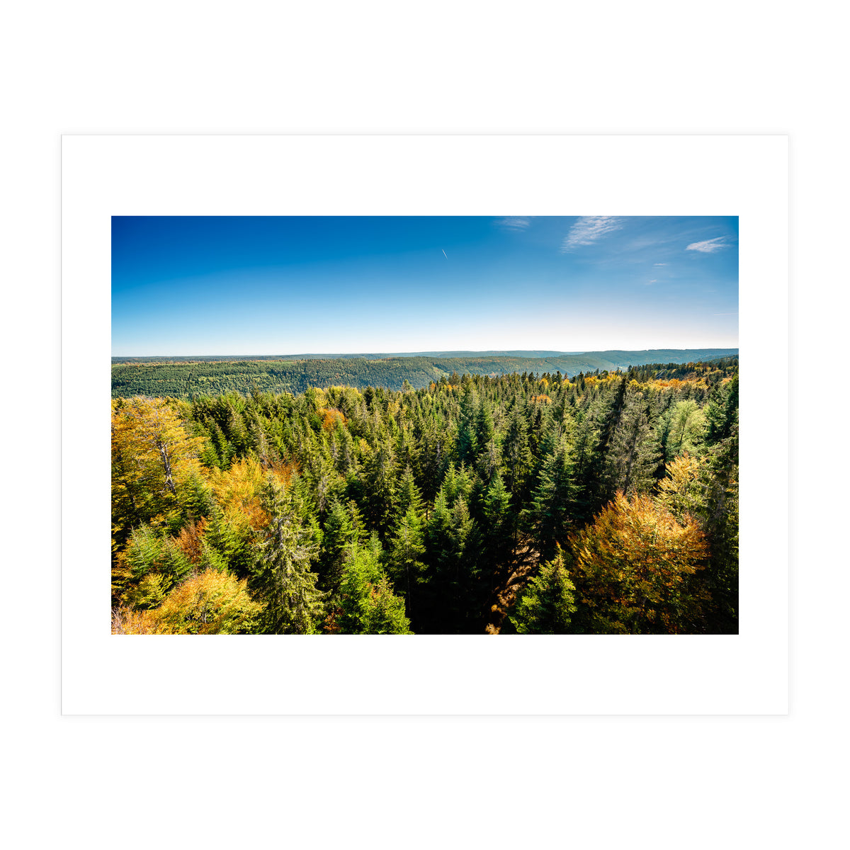 Black In Color (Print Only)