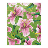 Tiger Lily (Print Only) thumbnail