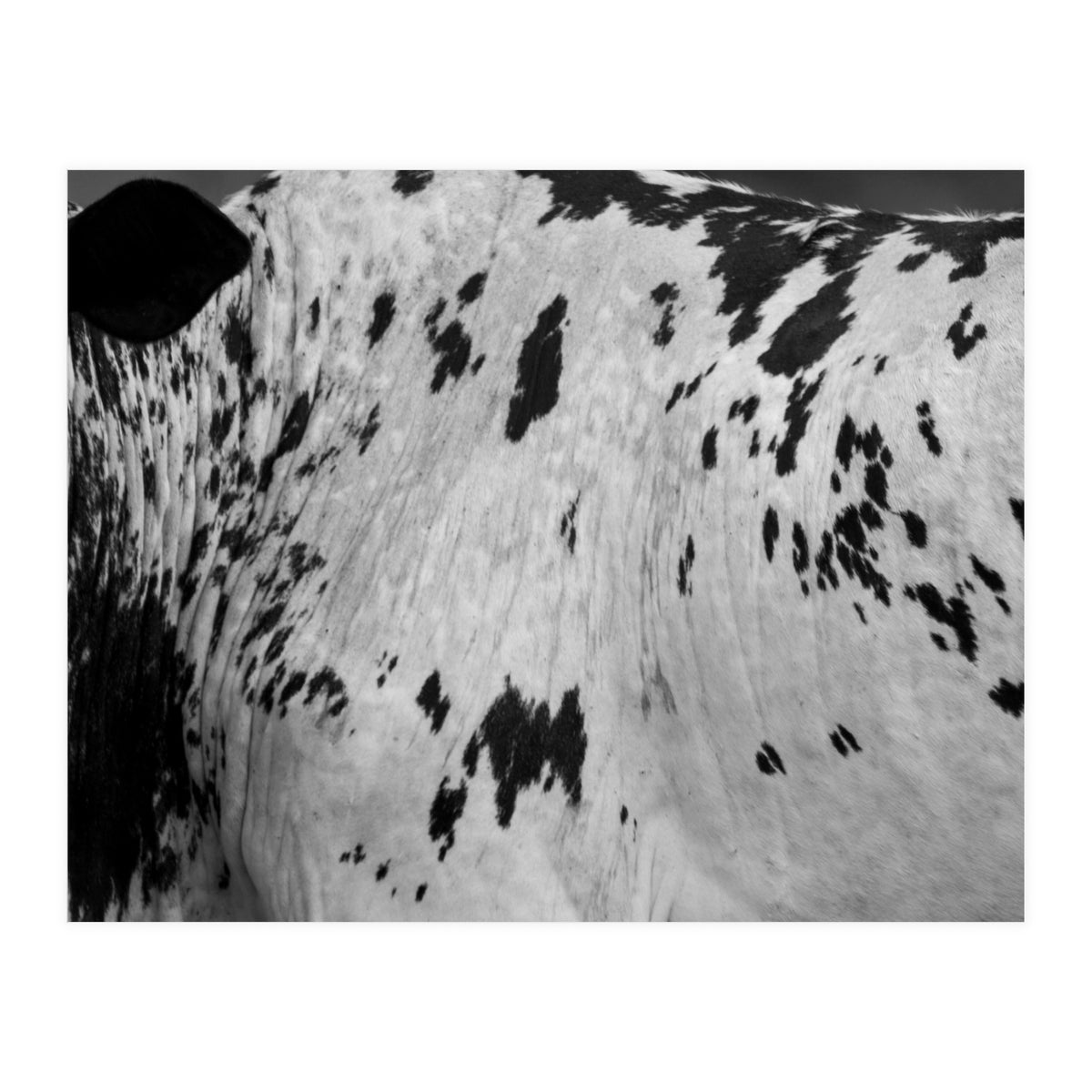 Abstract #3 (Print Only)