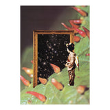 Cosmology (Print Only) thumbnail