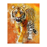 Tiger (Print Only) thumbnail