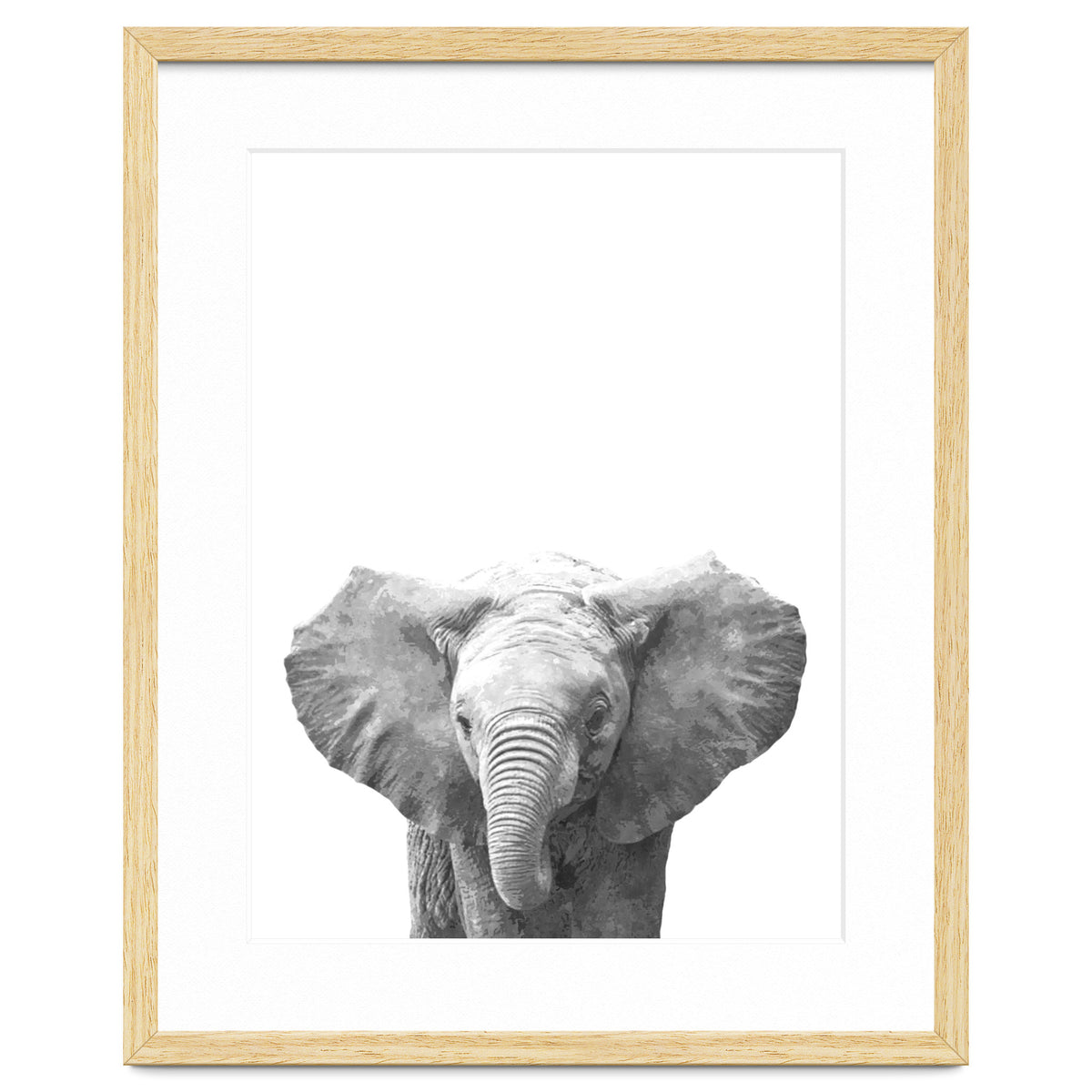 Black and White Baby Elephant