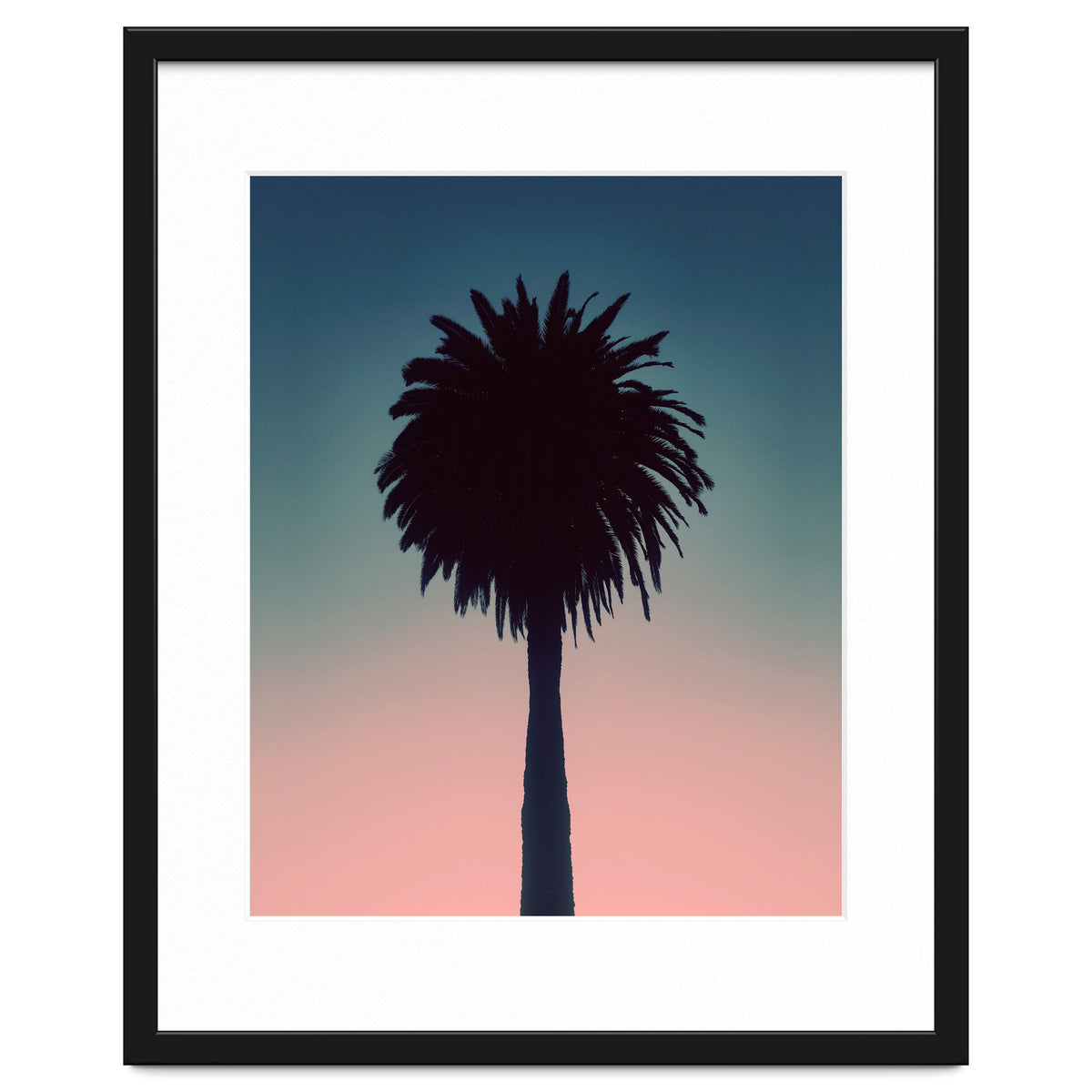 Sundown Palm