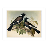 Magpies Vintage Painting (Print Only) thumbnail