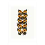 Cc Butterflies 07 (Print Only) thumbnail