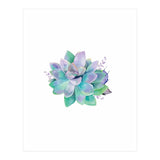 Aqua Succulent (Print Only) thumbnail