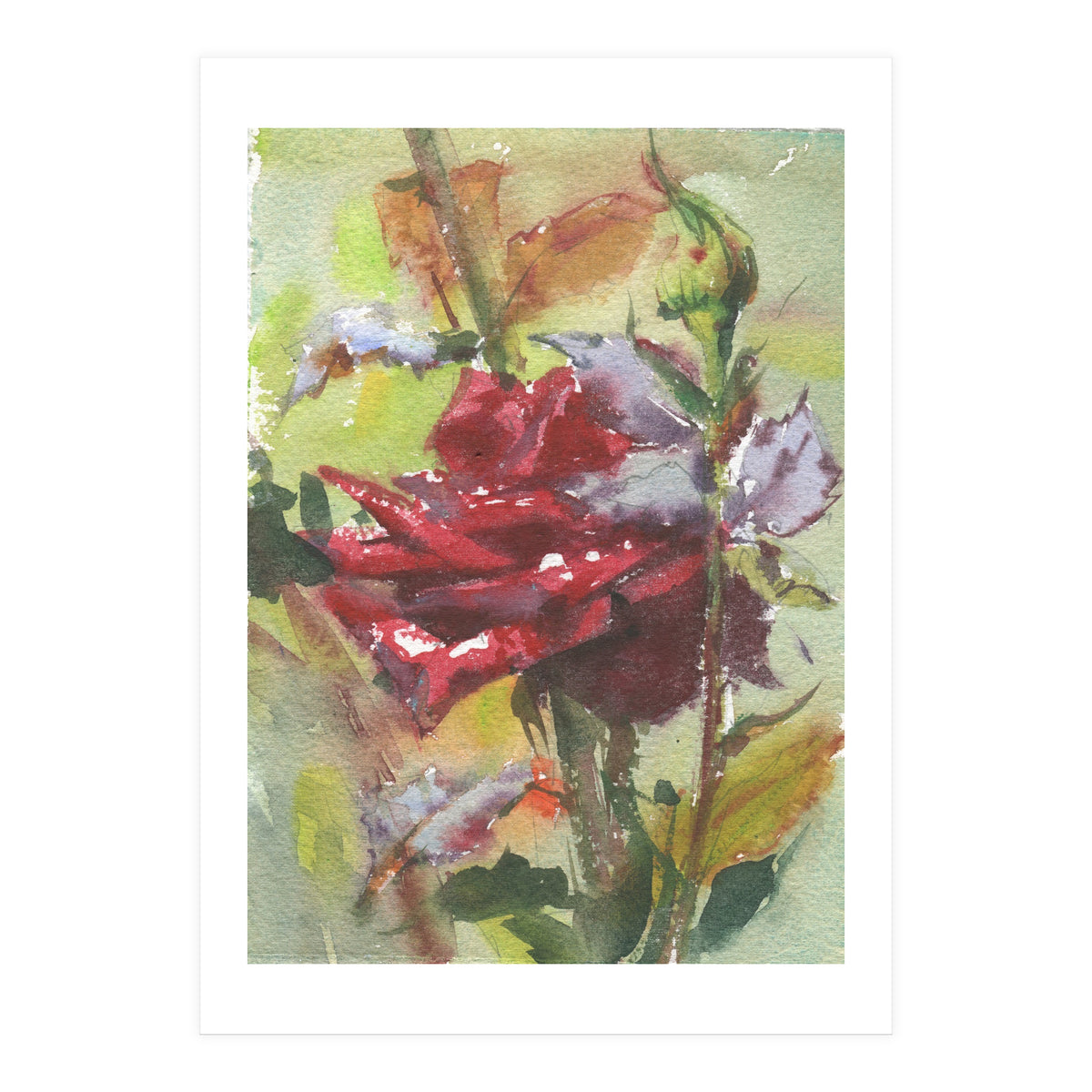 Spice Rose watercolor painting (Print Only)