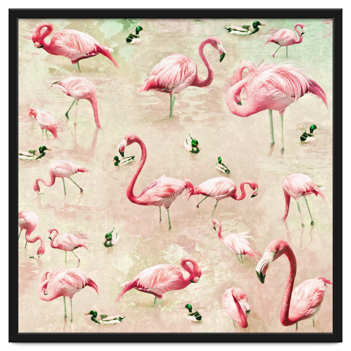 Flamingos Vintage Pink