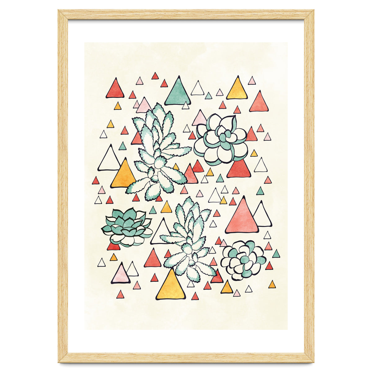 Succulent And Triangles