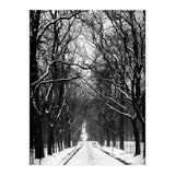 Winterly alley (Print Only) thumbnail
