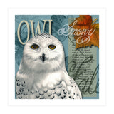 Snow Owl (Print Only) thumbnail
