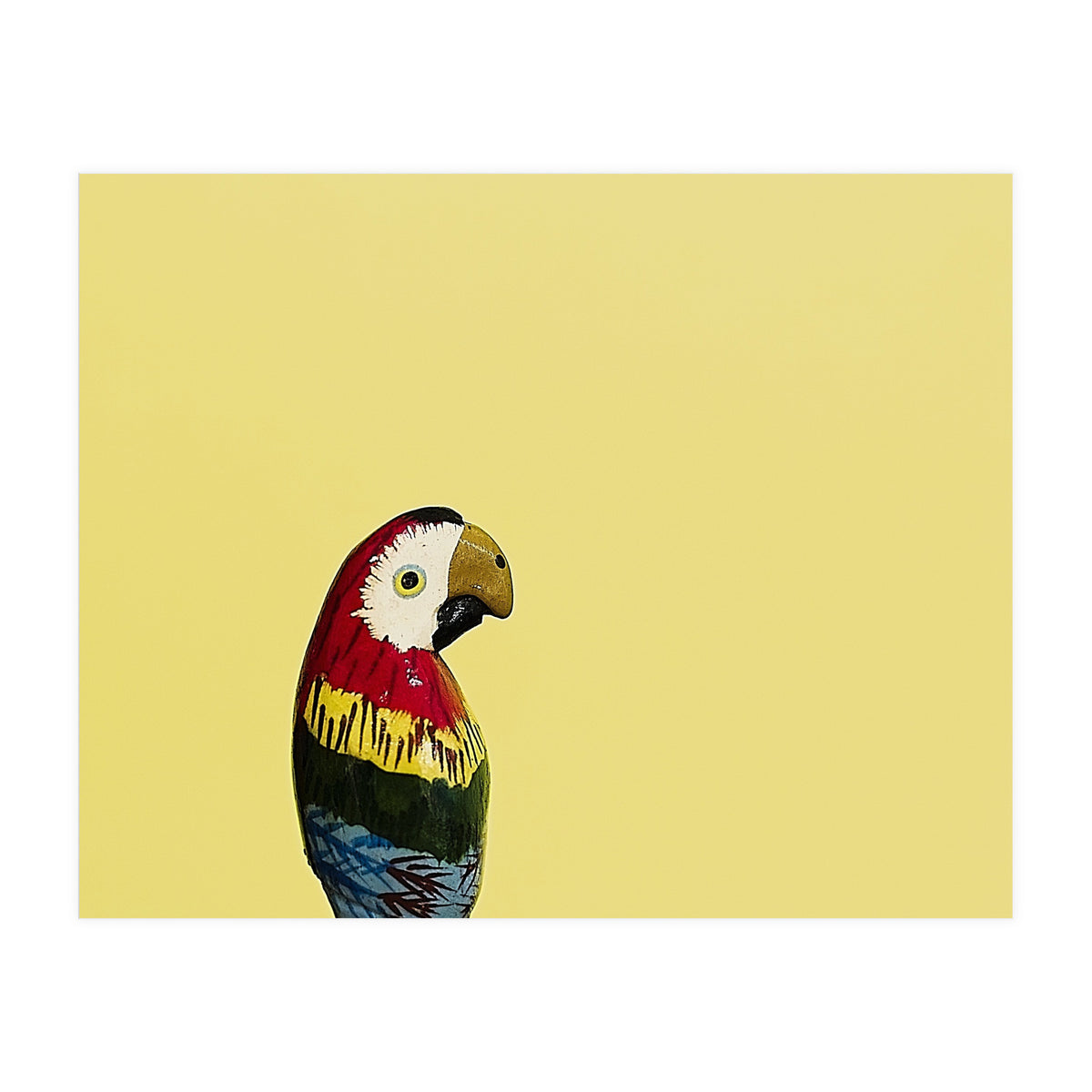 Parrot (Print Only)