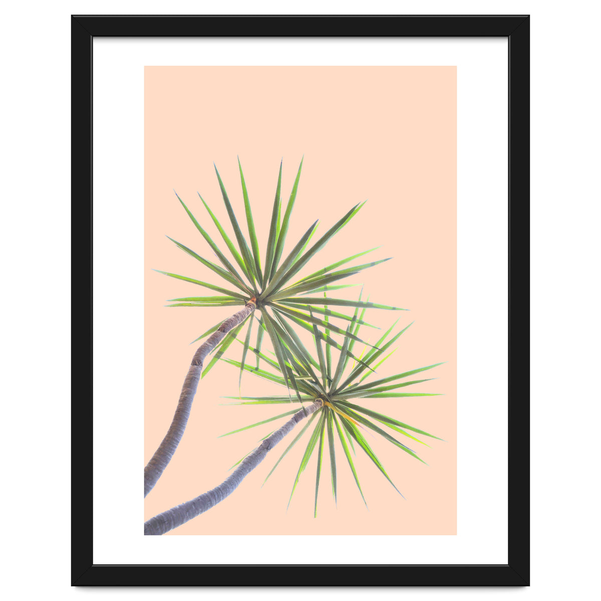 Tropical Serenity | Botanical Nature Plants | Boho Jungle Floral Garden | Watercolor Palm Painting