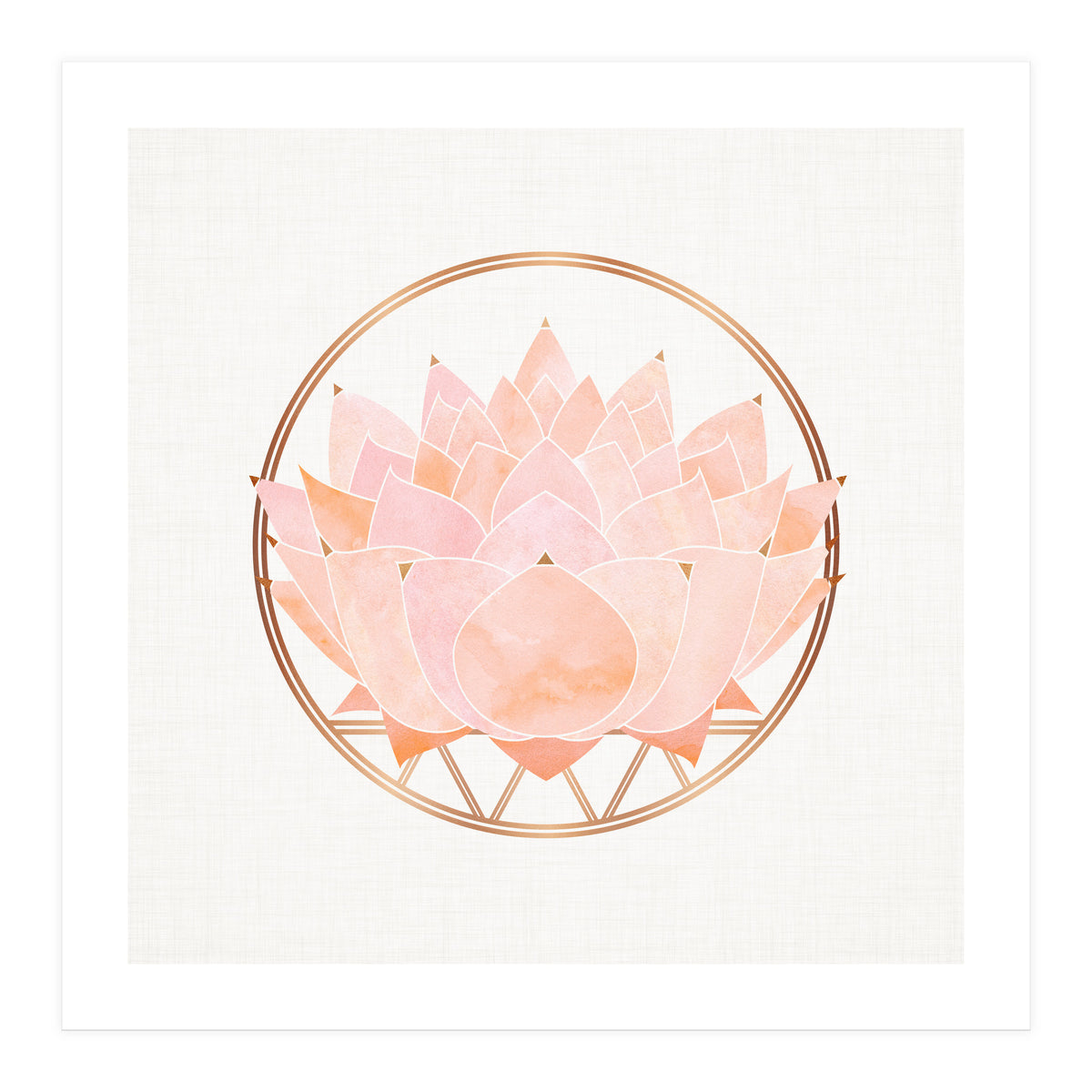 Peach Succulent  Blossom (Print Only)