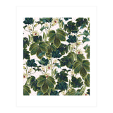 Wild Forest (Print Only) thumbnail