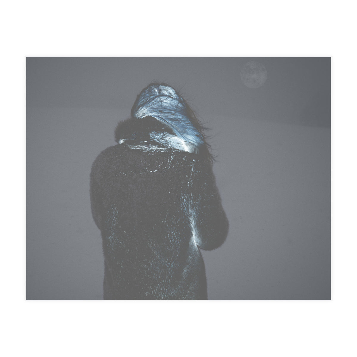 Metamorphosis (Print Only)