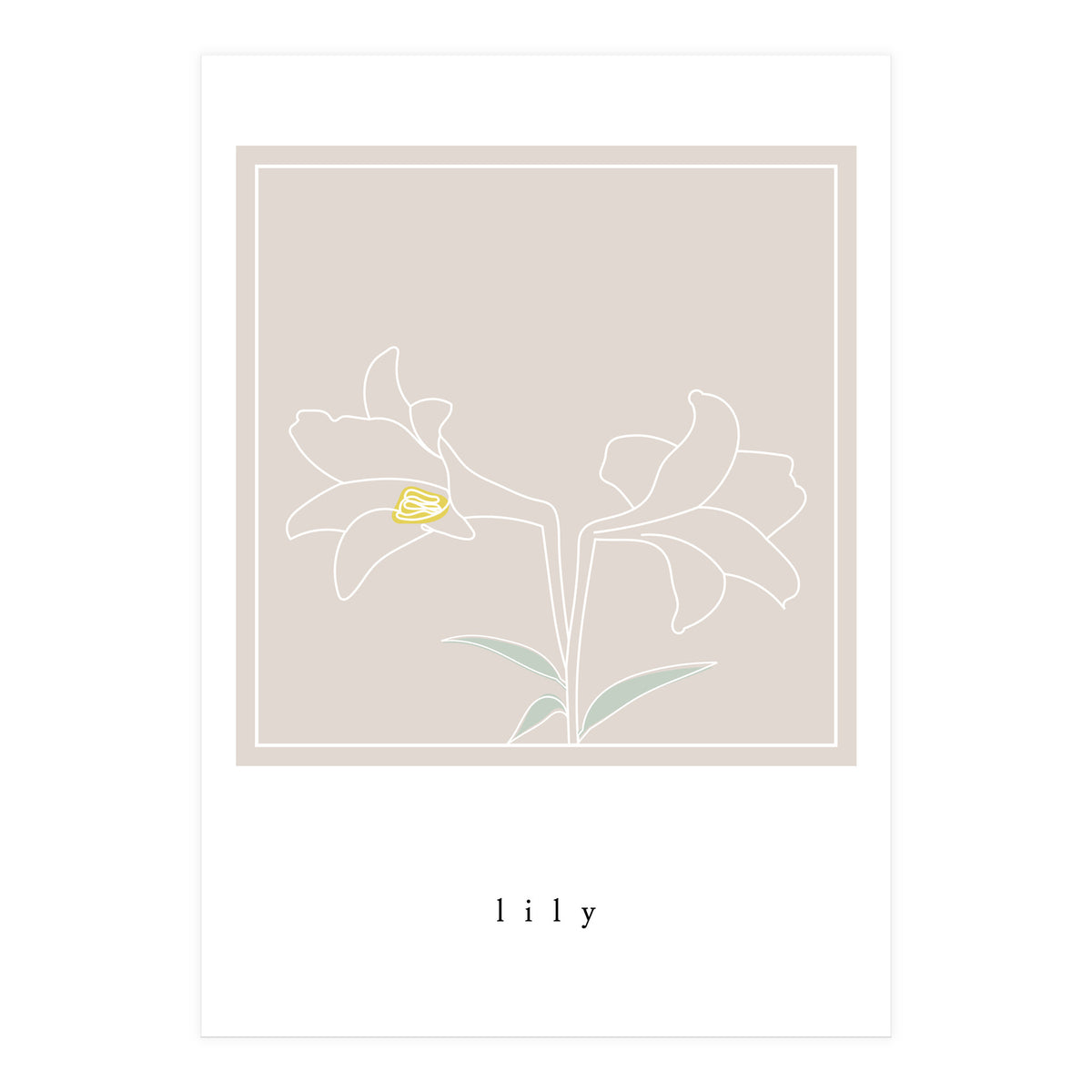 lily flower (Print Only)