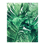 Tropical State of Mind | Watercolor Palm Banana Leaves Painting | Botanical Jungle Bohemian Plants (Print Only) thumbnail