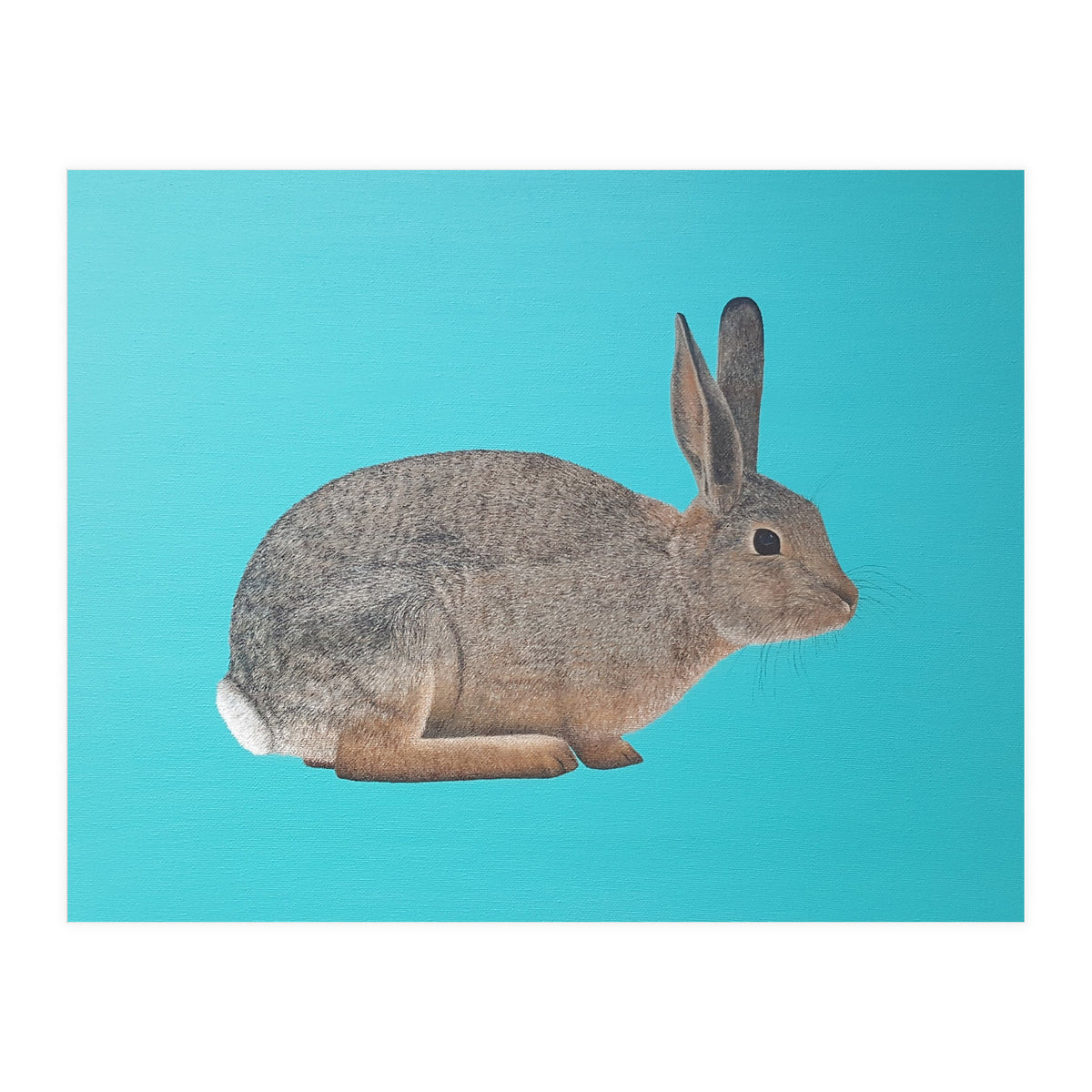 Rabbit (Print Only)