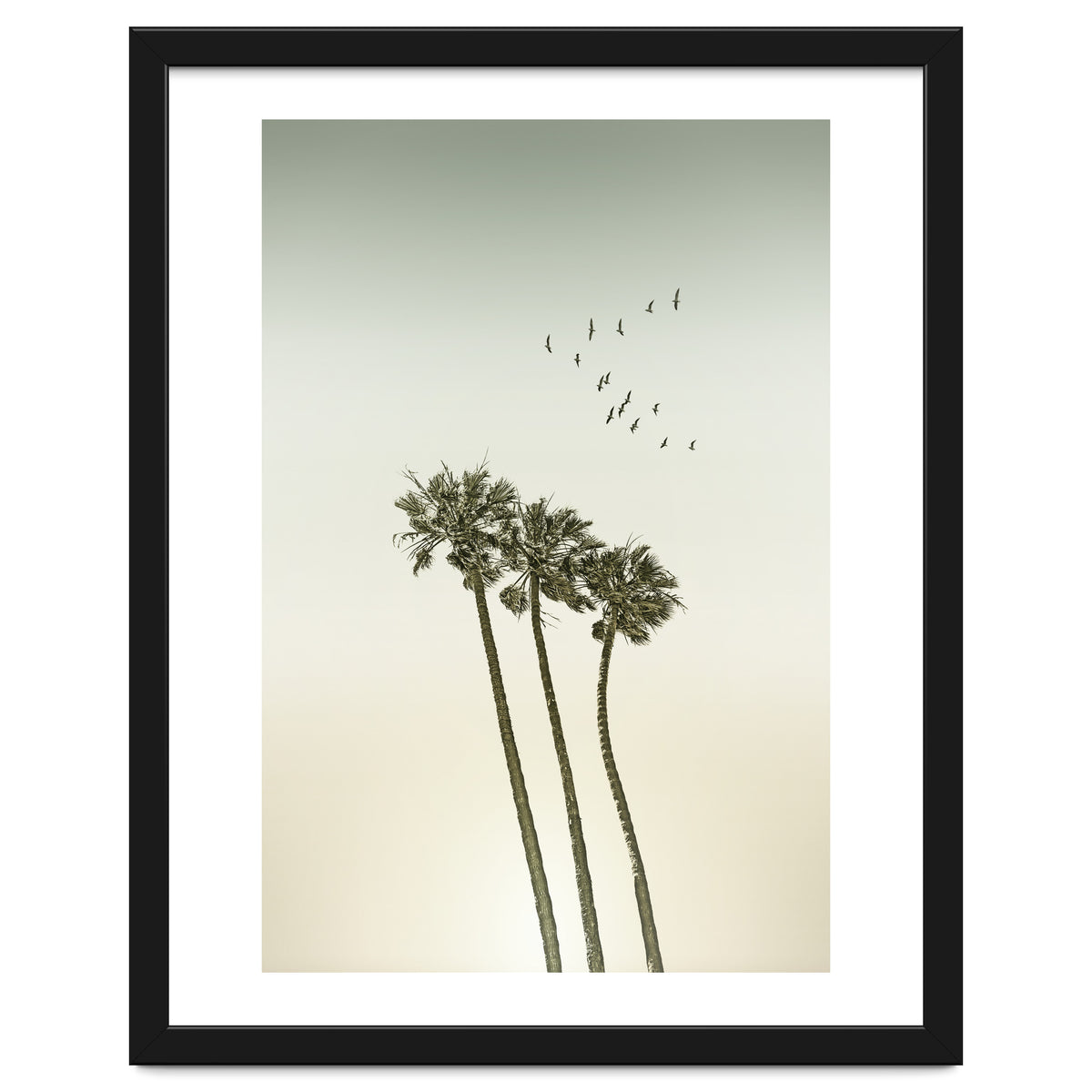 Vintage palm trees at sunset