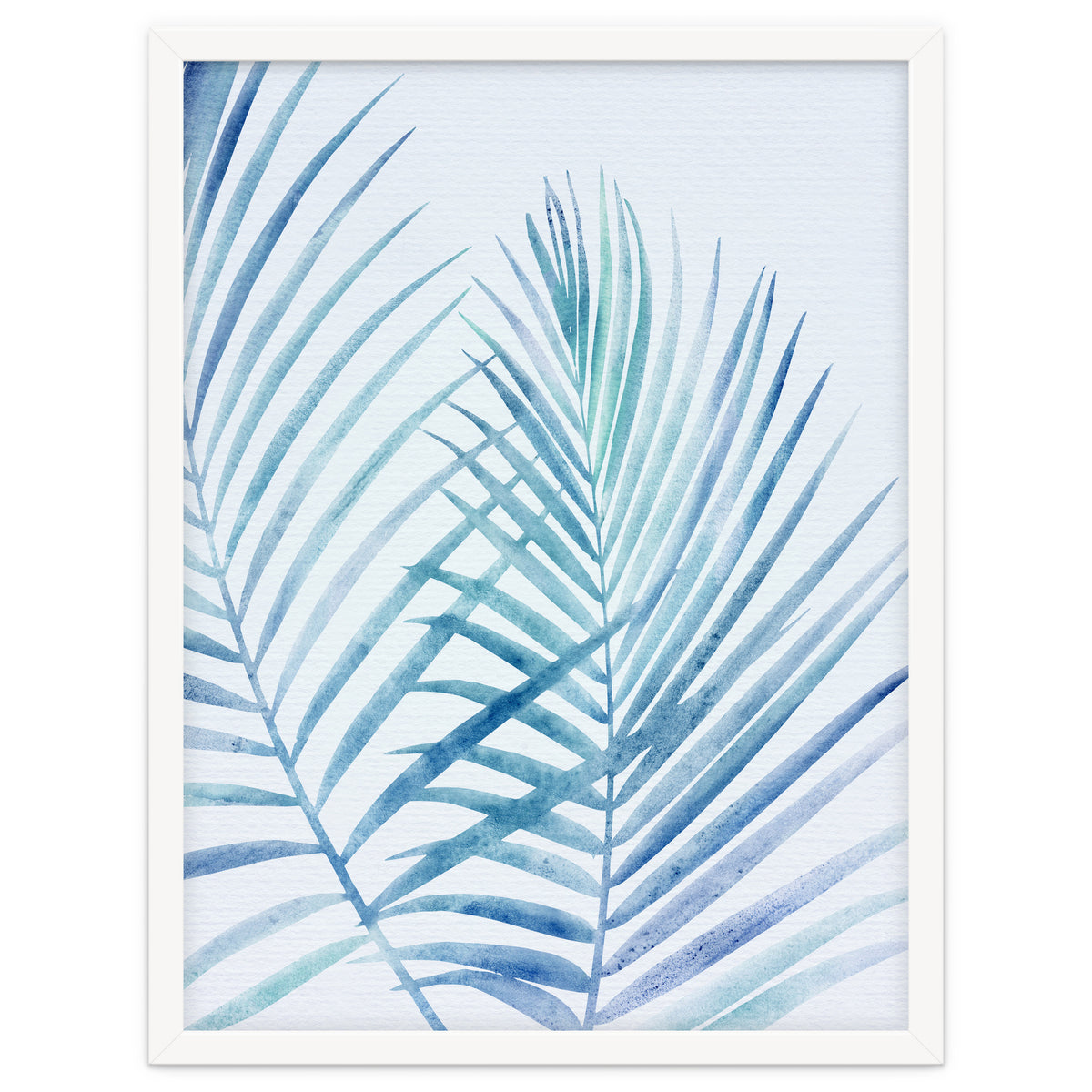 Coastal Palm Fronds