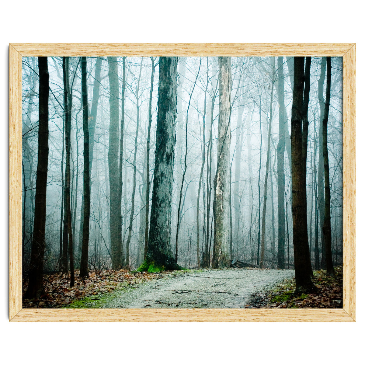 Gather Up Your Dreams